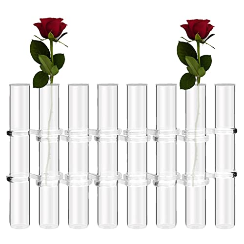 Aufklappbare Blumenvase, durchsichtige aufklappbare Vasen für Blumen, Set mit 6/8 Stück Reagenzgläsern, Blumenvasen, Blumenvasen, Reagenzglas, aufklappbares Pflanzenvasen-Display-Set, Heimtisch-Blumen von PW TOOLS