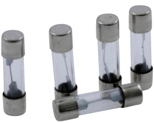 PW Fuse, Glas, 25mm, 10Amp, Durchsteckmontage, 5er Pack von PW