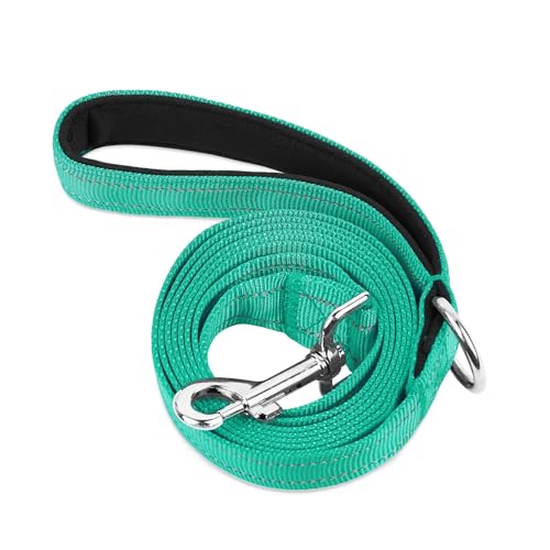 PWOD Doppelseitige, reflektierende Nylon-Hundeleine, 1,8 m, 1,2 m, 1,5 m, weich gepolsterter Griff, robuste Leinen mit D-Ring für mittelgroße und große Hunde, Blaugrün, 1,2 m PWOD Doppelseitige, reflektierende Nylon-Hundeleine, 1,8 m, 1,2 m, 1,5 m, weich gepolsterter Griff, robuste Leinen mit D-Ring für mittelgroße und große Hunde, Blaugrün, 1,2 m von PWOD