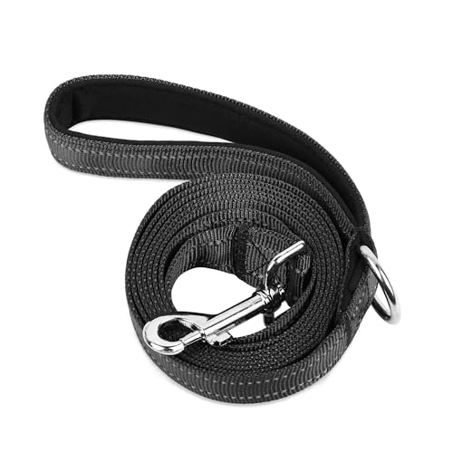 PWOD Doppelseitige, reflektierende Nylon-Hundeleine, 1,8 m, 1,2 m, 1,5 m, weich gepolsterter Griff, robuste Leinen mit D-Ring für mittelgroße und große Hunde, Gassigehen und Training, Karbonschwarz PWOD Doppelseitige, reflektierende Nylon-Hundeleine, 1,8 m, 1,2 m, 1,5 m, weich gepolsterter Griff, robuste Leinen mit D-Ring für mittelgroße und große Hunde, Gassigehen und Training, Karbonschwarz von PWOD