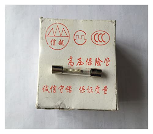 PWQBABJWL 100 STÜCKE 5KV 0,6A 0,65A 0,7A 0,75A 0,8A 0,85A 0,9A 1A Mikrowelle Hochspannungssicherung(0.7A 700MA) von PWQBABJWL