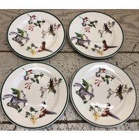 Vintage 4 Stück National Wildlife Federation Birds/Kolibri Set Tasse Untertassen von PWSenterprises