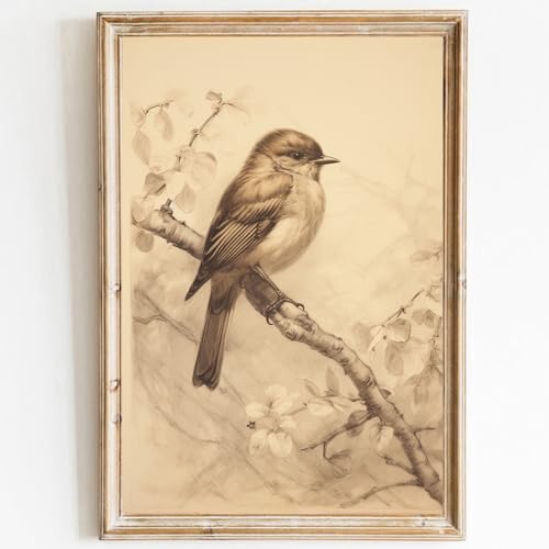 Kunstdruck auf Leinwand, Motiv: Spatz, abstraktes Vogel-Poster, Retro-Drucke, Bauernhaus-Bilder, Tiergemälde für Zimmer, 40,6 x 61 cm, ungerahmt Kunstdruck auf Leinwand, Motiv: Spatz, abstraktes Vogel-Poster, Retro-Drucke, Bauernhaus-Bilder, Tiergemälde für Zimmer, 40,6 x 61 cm, ungerahmt von PWTXKAH