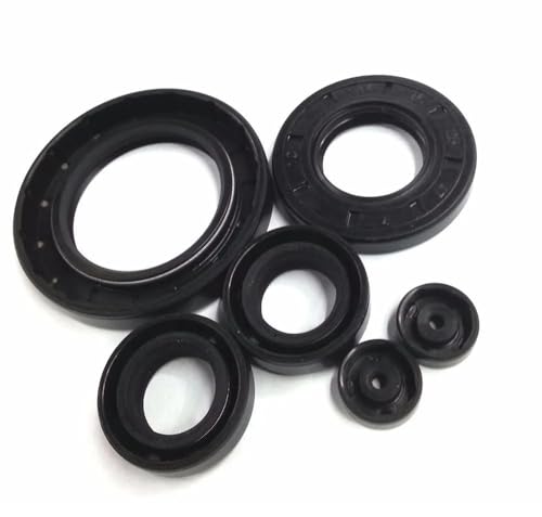 Doppellippen-Öldichtung, TC Wellendichtring Doppellippe mit Strumpfbandfeder Mehrere Größen 2er-Pack(17x34x6mm 2pcs) von PXAMORTEL