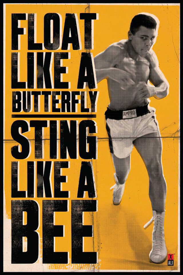 PYRAMID Poster Muhammad Ali Float and Sting Poster 61 x 91,5 cm PYRAMID Poster Muhammad Ali Float and Sting Poster 61 x 91,5 cm von PYRAMID