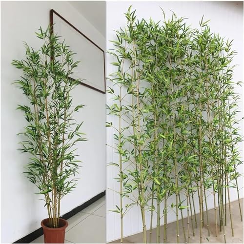 PYSyansu Künstliche Bambusbäume for die Dekoration im Außen- und Innenbereich – 1–2 m hoher Raumteiler und Wandtrennwand(2m Tall 100 Pack) von PYSyansu