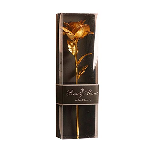 PYUIYY Kunstblumen Rose im Glas Exquisiter Rosenbox Gold Rose Blumen mit LED-Licht Romantische Geschenk für Frauen Frau Freundin Mutter Jahrestag Hochzeitstag Valentinstag Geburtstag(E2,1+1pc) von PYUIYY