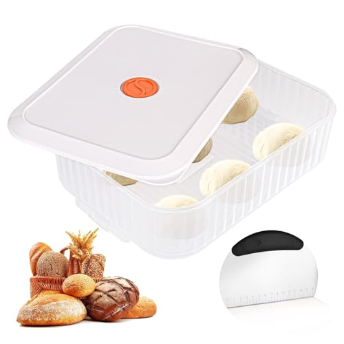 PYserne Pizzaballenbox mit Deckel, 31×23×9 cm Pizzateig Box mit Edelstahl Teigkarte Teigballenbox mit Datumsaufzeichnung für Pizzaballen oder andere Teigarten Bleiben Sie Frisch von PYserne