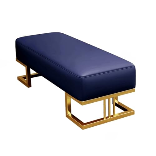 PZOFERLIN Bank zur Schuhaufbewahrung Aufbewahrungsbank mit gepolstertem Sitz, PU-Leder, Metallrahmen, Mehrfarbig, mehrere Größen(Blue,100cm) von PZOFERLIN