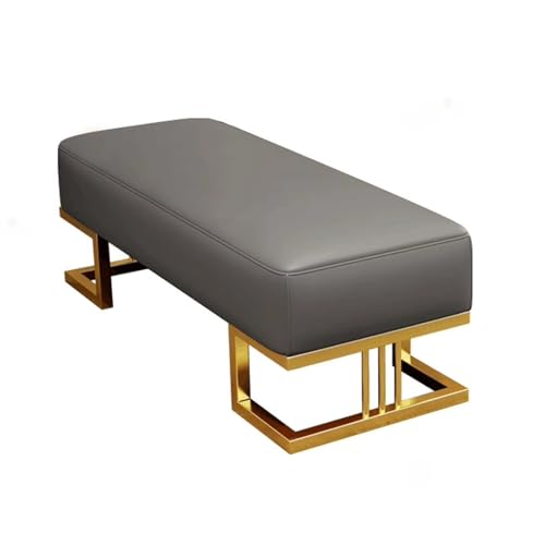 PZOFERLIN Bank zur Schuhaufbewahrung Aufbewahrungsbank mit gepolstertem Sitz, PU-Leder, Metallrahmen, Mehrfarbig, mehrere Größen(Grey,120cm) von PZOFERLIN