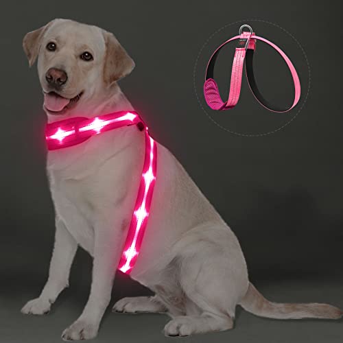 PZRLit LED Hundegeschirr Leuchtend für Hunde, Leuchtgeschirr Hundeweste Wiederaufladbar von PZRLit