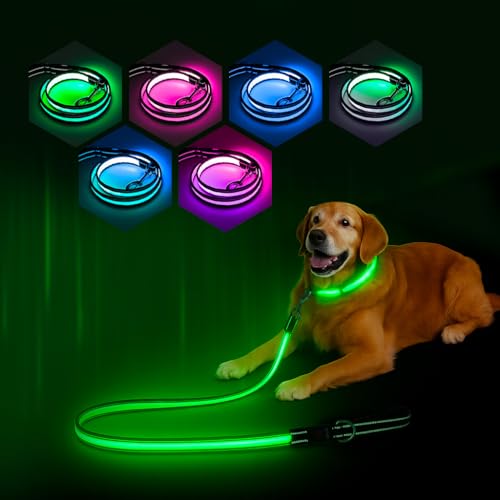 PZRLit Mehrfarbige 1.2 m LED Hundeleine–Leuchtend & Reflektierend,7 Modi Glühen im Dunkeln, Beidseitig USB-C Wiederaufladbar mit Akkuanzeige Wasserdicht Für Kleine Mittel Große Hunde, Nachtsicherheit von PZRLit