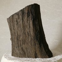 Rarität 5 Kg Mooreiche Baumstück 3000 Jahre Alt Rarität 5 Kg Mooreiche Baumstück 3000 Jahre Alt von PaRayKunsthandwerk