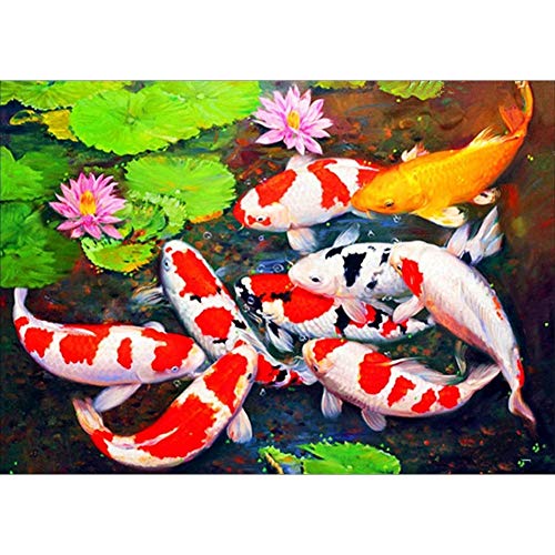 Paaruter DIY Diamant Malerei Nach Anzahl Kits, Malerei Fischteich Lotus Farbe mit Diamanten Kunst Voll Bohrer Leinwand Bilder Paaruter DIY Diamant Malerei Nach Anzahl Kits, Malerei Fischteich Lotus Farbe mit Diamanten Kunst Voll Bohrer Leinwand Bilder von Paaruter
