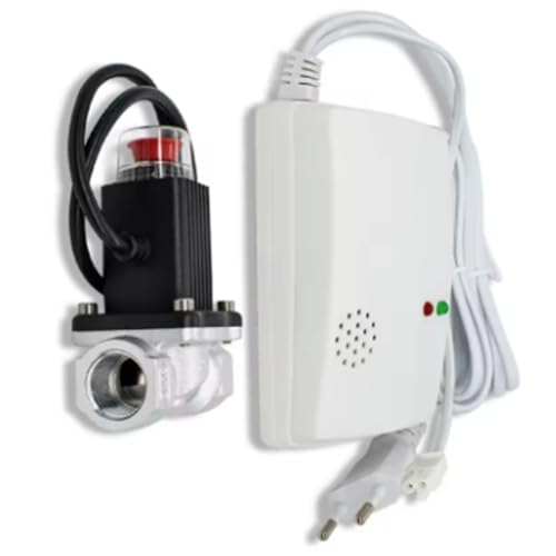 Paaruter Natürlicher/Verflüssiger Gasalarmsensor mit Notfallabschaltmagnetventilgasleckage Detektor Standalone Auto Monitor EU -Stecker von Paaruter