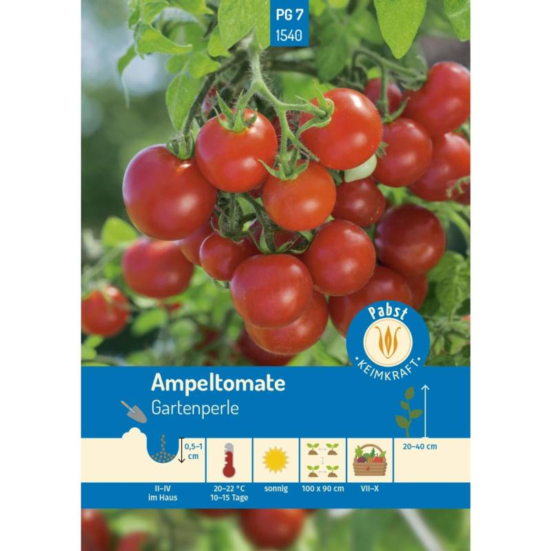 Pabst Keimkraft Ampeltomate Kleinfrüchtig & Aromatisch Gartenperle Saatgut von Pabst Keimkraft