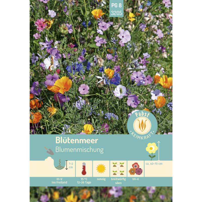 Pabst Keimkraft Blütenmeer Blumenmischung Saatgut von Pabst Keimkraft