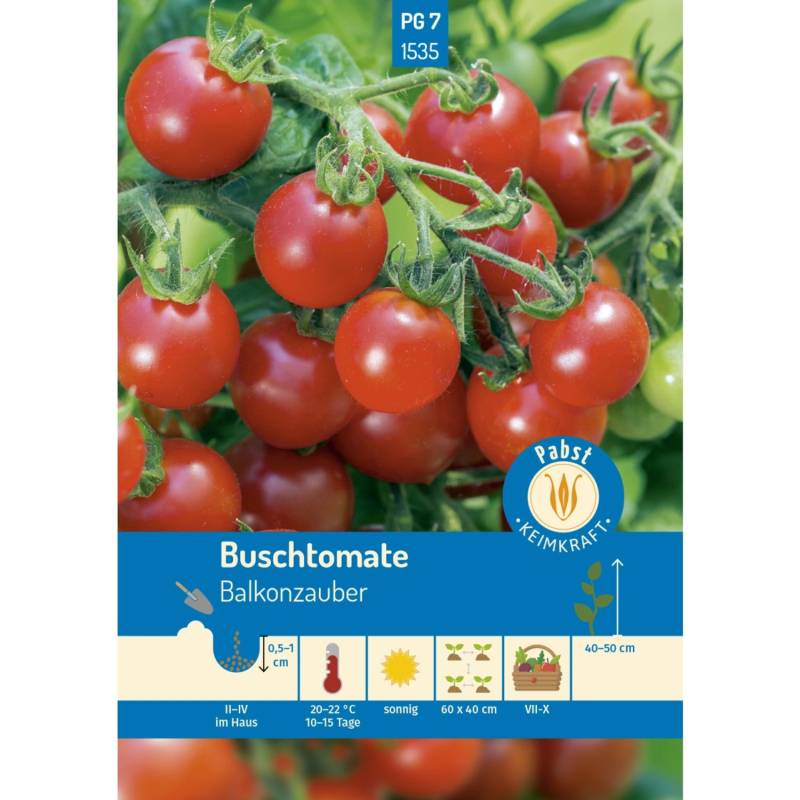 Pabst Keimkraft Buschtomate Früh & Robust Balkonzauber Saatgut von Pabst Keimkraft