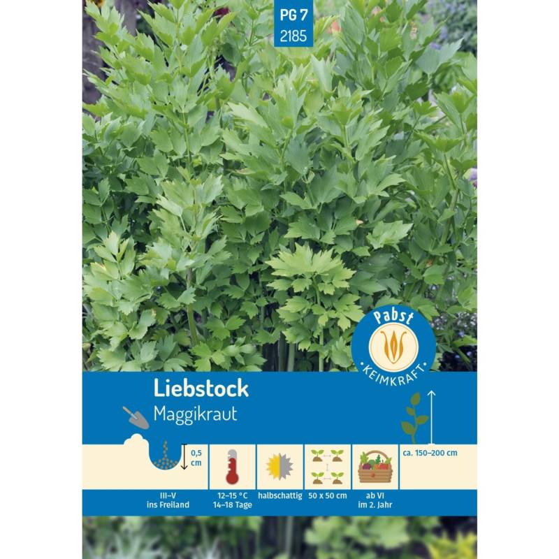 Pabst Keimkraft Liebstock Maggikraut Saatgut von Pabst Keimkraft