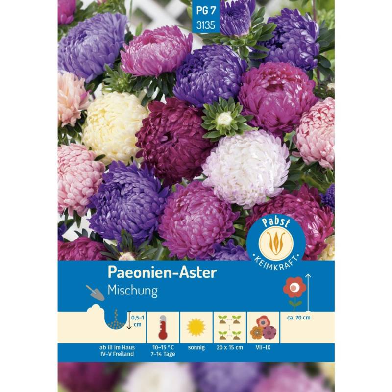Pabst Keimkraft Paeonien - Aster Mischung Saatgut von Pabst Keimkraft