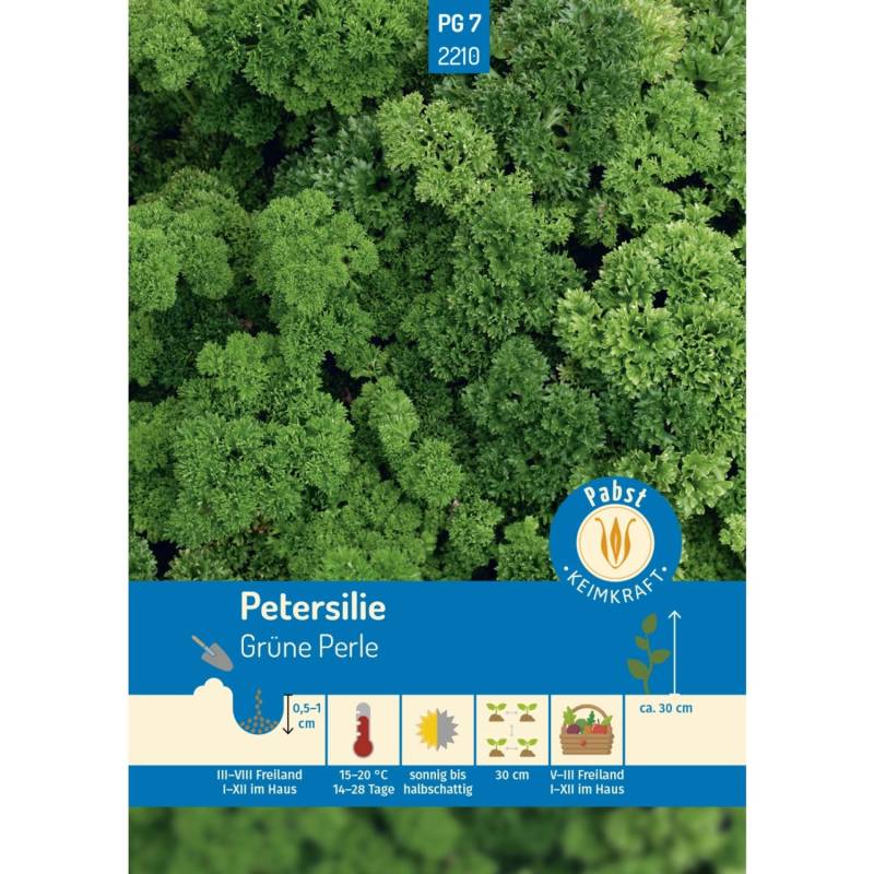 Pabst Keimkraft Petersilie Gekraust & Treibfähig Grüne Perle Saatgut von Pabst Keimkraft