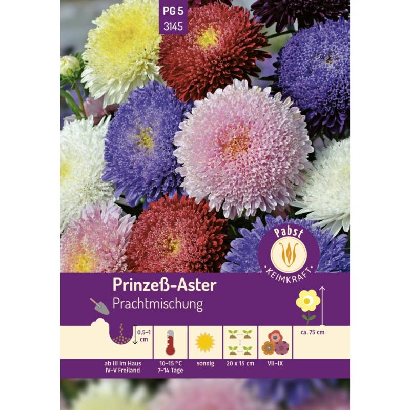 Pabst Keimkraft Prinzeß - Aster Prachtmischung Saatgut von Pabst Keimkraft