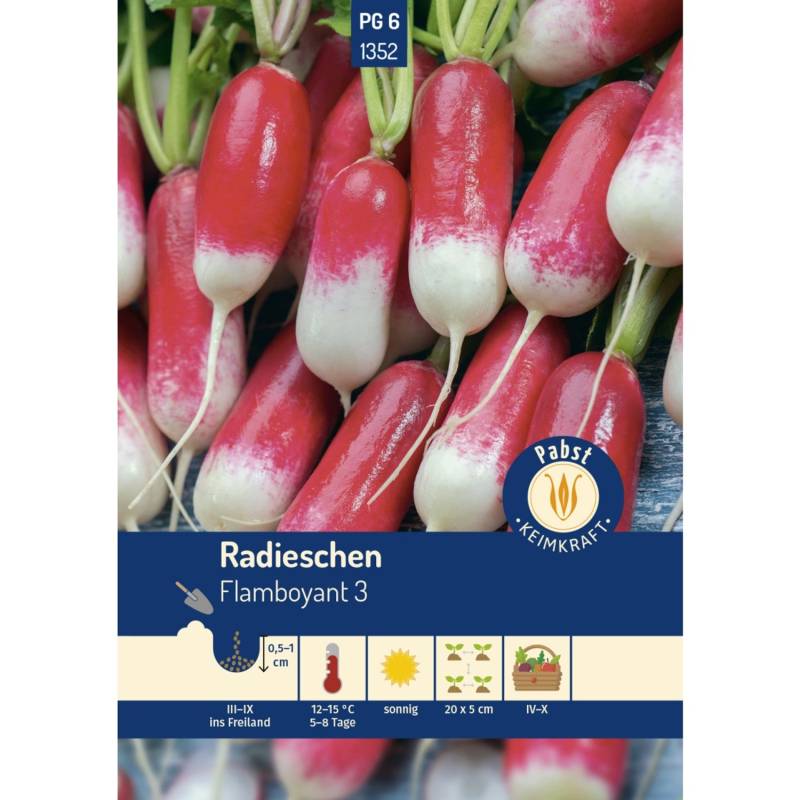 Pabst Keimkraft Radieschen Lang & Zweifarbig Flamboyant 3 Saatgut von Pabst Keimkraft