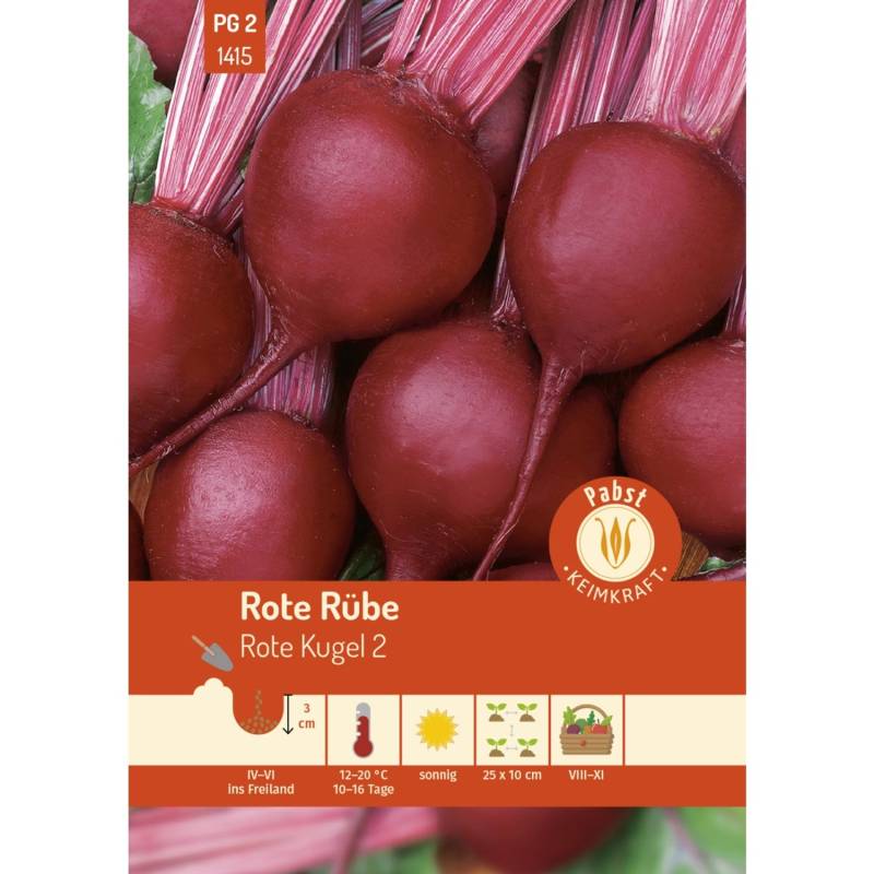 Pabst Keimkraft Rote Rübe Früh & Rund Rote Kugel 2 Saatgut von Pabst Keimkraft