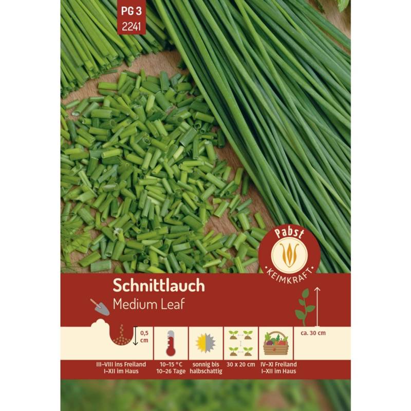 Pabst Keimkraft Schnittlauch Mehrjährig & Mittelröhrig Medium Leaf Saatgut von Pabst Keimkraft