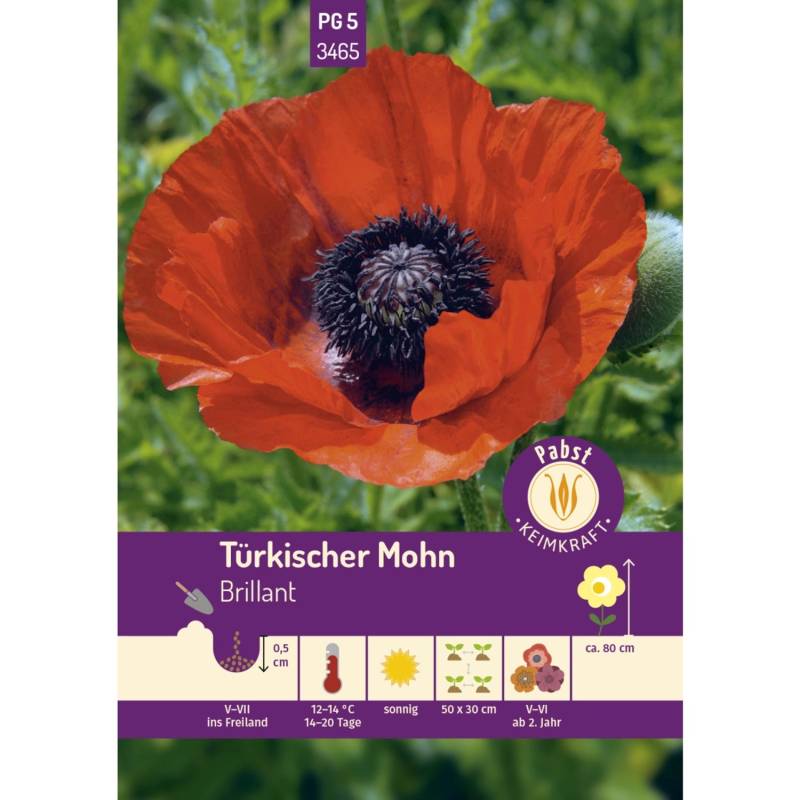 Pabst Keimkraft Türkischer Mohn Brillant Saatgut von Pabst Keimkraft