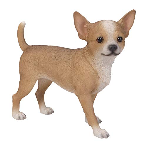 Pacific Giftware Chihuahua Figur - Realistisch lebensecht Hund Dekofigur Geschenk für Hundeliebhaber von Pacific Giftware