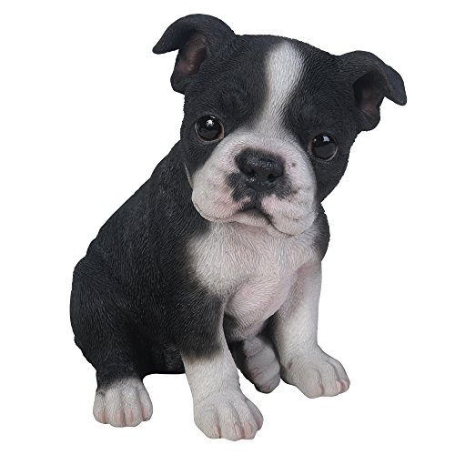 Pacific Giftware Hunde Figur Boston Terrier - Welpe Baby Dekofigur Tiere von Pacific Giftware