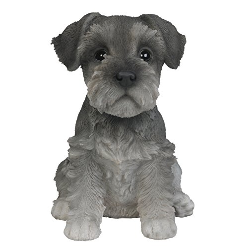 Pacific Giftware Hunde Figur Schnauzer Welpe - Baby Dekofigur Geschenk für Hundeliebhaber von Pacific Giftware