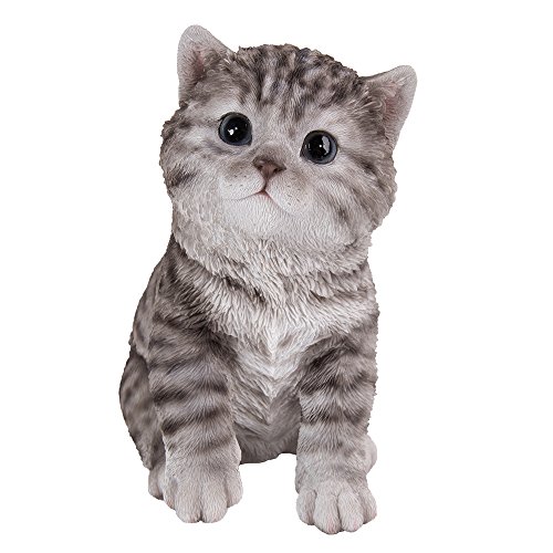 Pacific Giftware Katzen Figur - Amerikanisch Kurzhaar Baby sitzend - Kitten Dekofigur realistisch Geschenk für für Katzenliebhaber von Pacific Giftware