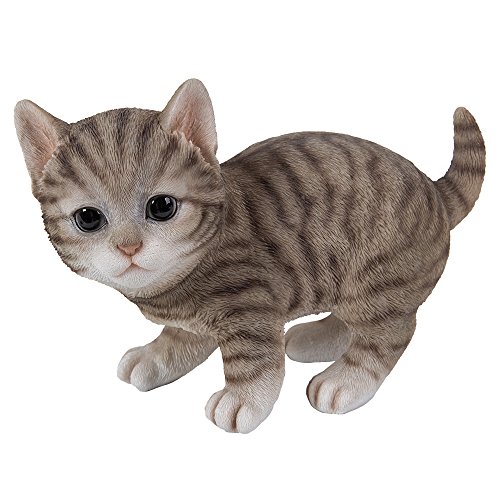 Katzen Figur - Amerikanisch Kurzhaar Baby spielend - Kitten Dekofigur realistisch Geschenk für für Katzenliebhaber von Pacific Giftware