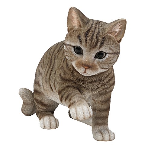 Pacific Giftware Katzen Figur Amerikanisch Kurzhaar - Kitten Dekofigur realistisch Geschenk für für Katzenliebhaber von Pacific Giftware