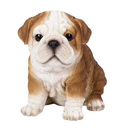 Pacific Giftware Bulldogge Welpe Figur - Hunde realistische Sammelfigur Dekofigur von Pacific Giftware