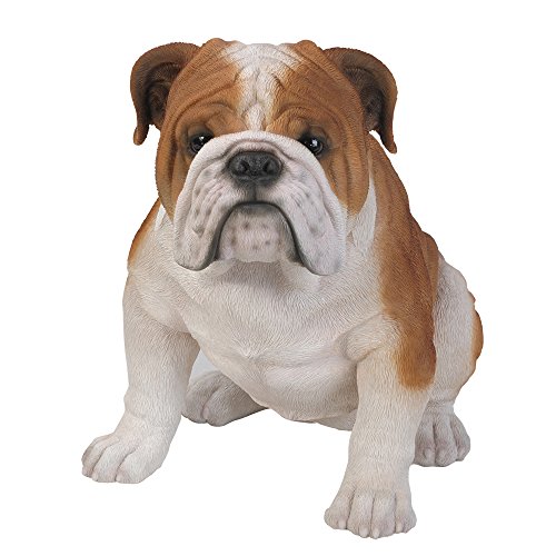 Pacific Giftware Bulldoggen Figur 37 cm - Realistisch lebensecht Hund Dekofigur Geschenk für Hundeliebhaber von Pacific Giftware