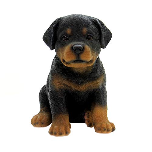 Pacific Giftware Rottweiler Welpen Figur - Realistisch lebensecht Hunde Welpe Baby Dekofigur Geschenk für Hundeliebhaber von Pacific Giftware