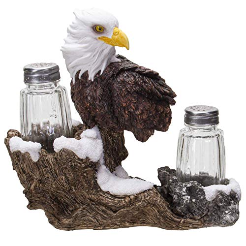 Pacific Giftware Salz- und Pfefferstreuer aus Glas, Motiv: amerikanischer Weißseeadler, spirituell, realistisch, dekorativ, mit Ständer aus Kunstharz von Pacific Giftware