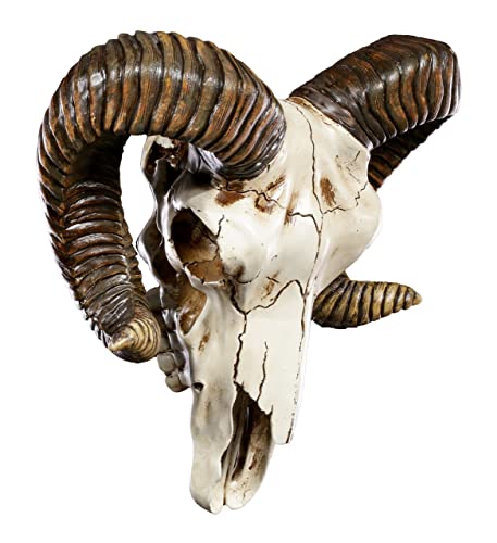 Pacific Giftware Wanddeko Widder Totenkopf mit Hörnern - Trophäe Baphomet Wandrelief Schädel Totenschädel Pacific Giftware Wanddeko Widder Totenkopf mit Hörnern - Trophäe Baphomet Wandrelief Schädel Totenschädel von Pacific Giftware