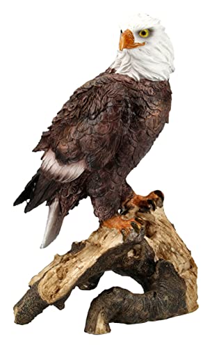 Pacific Giftware Weißkopfseeadler Figur Adler Statue Deko USA Amerika Greifvogel Pacific Giftware Weißkopfseeadler Figur Adler Statue Deko USA Amerika Greifvogel von Pacific Giftware