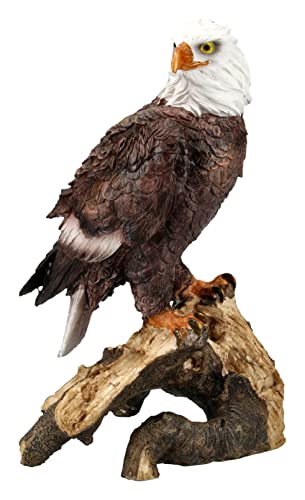 Pacific Giftware Weißkopfseeadler Figur Adler Statue Deko USA Amerika Greifvogel von Pacific Giftware