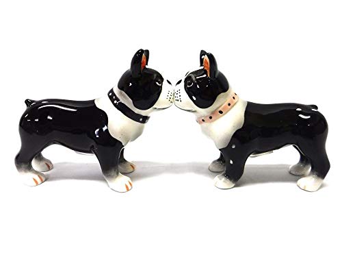 Salz- und Pfefferstreuer, Boston Terrier Pups, magnetisch, Salz- und Pfefferstreuer von Pacific Giftware