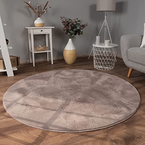 Paco Home Hochflor Teppich Wohnzimmer Flauschig Fellteppich Kunstfell Plüsch Shaggy Weich Fellimitat, Grösse:120 cm Rund, Farbe:Taupe von Paco Home