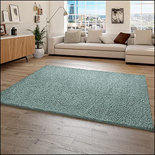 Paco Home Hochflor Teppich Wohnzimmer Shaggy Langflor Modern Einfarbig Ohne Muster, Grösse:60x100 cm, Farbe:Türkis von Paco Home