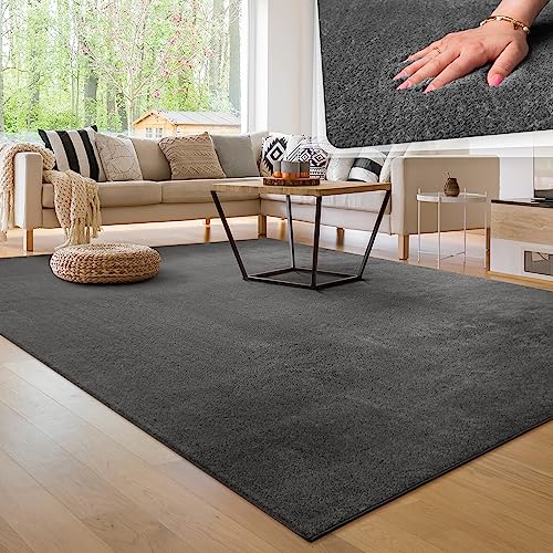 Paco Home Moderner Kuscheliger Wohnzimmer Teppich Kurzflor waschbar flauschig Weich Einfarbig Felloptik zeitlos stilvoll rutschfest pflegeleicht, Grösse:300x400 cm, Farbe:Anthrazit von Paco Home