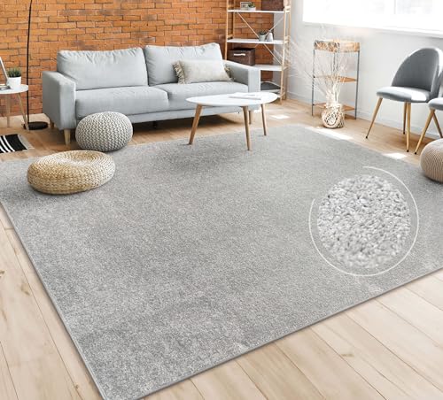 Paco Home Teppich Wohnzimmer Schlafzimmer Esszimmer Kurzflor Moderne Optik Einfarbig Pastell, Grösse:120 cm Rund, Farbe:Silber von Paco Home