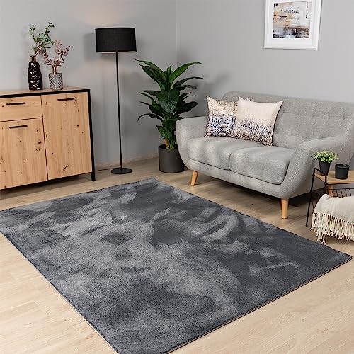 Paco Home Teppich Wohnzimmer Schlafzimmer Kurzflor Waschbar Einfarbiges Muster Flauschig Weich rutschfest Moderne Deko, Grösse:240x340 cm, Farbe:Anthrazit Paco Home Teppich Wohnzimmer Schlafzimmer Kurzflor Waschbar Einfarbiges Muster Flauschig Weich rutschfest Moderne Deko, Grösse:240x340 cm, Farbe:Anthrazit von Paco Home