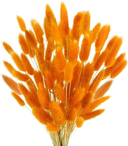 PacuM 120 Stück Pampasgras Deko Trockenblumen-Rohmaterial Hasenschwanzgras Kann Frei Geschnitten Werden Hasenschwanzgras Trocken Blumen Bohème-Stil Passt für Wohnzimmer Schlafzimmer (Orange) von PacuM